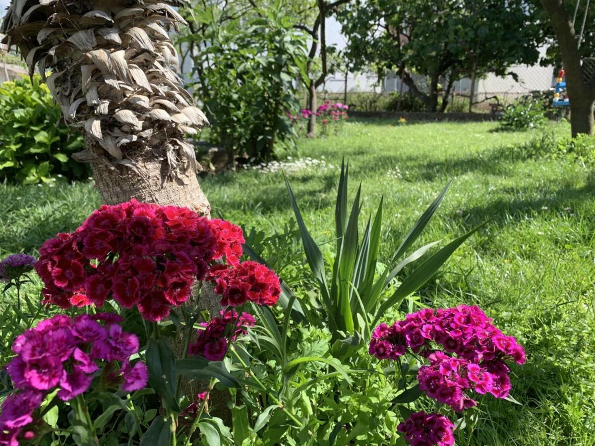 Draskovic'S House Villa Bar Dış mekan fotoğraf